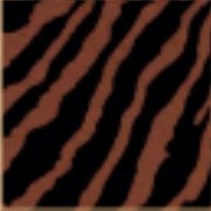 ESTAMPA TIGRE 