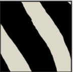 ZEBRA DIAGONAL                                                        