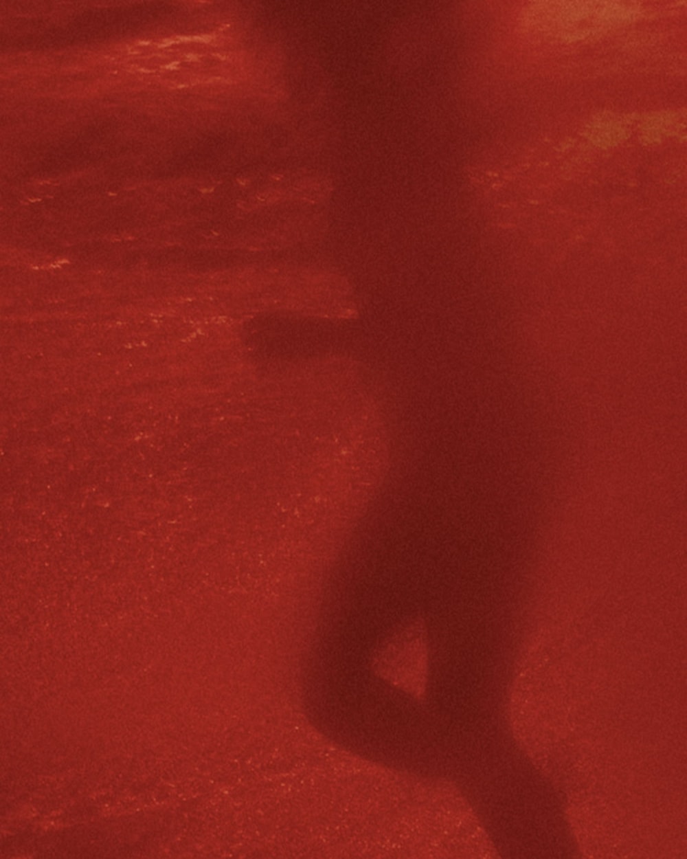 image_5f855c19-c38c-4699-b37e-a2522d6a832a