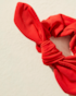 image_47ca825e-9e19-454e-bd72-4fe67bc0cd44