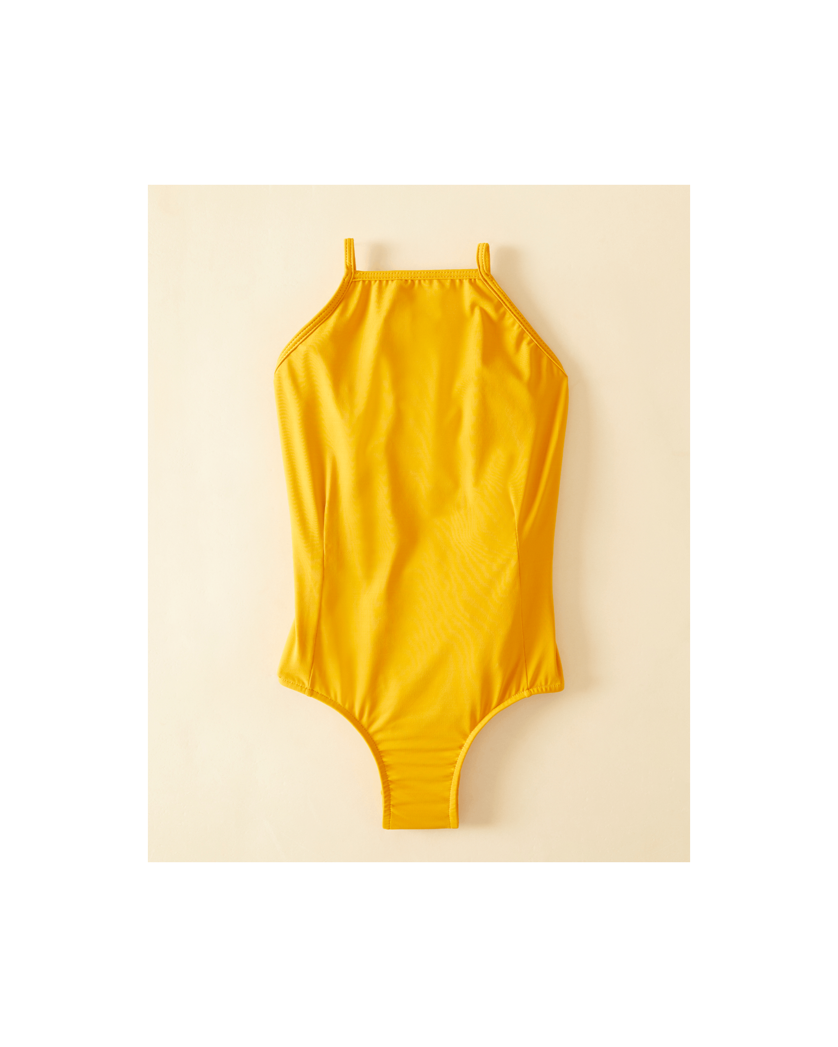 image_0c071c62-3789-42b2-a11c-b3cc946ae8d1