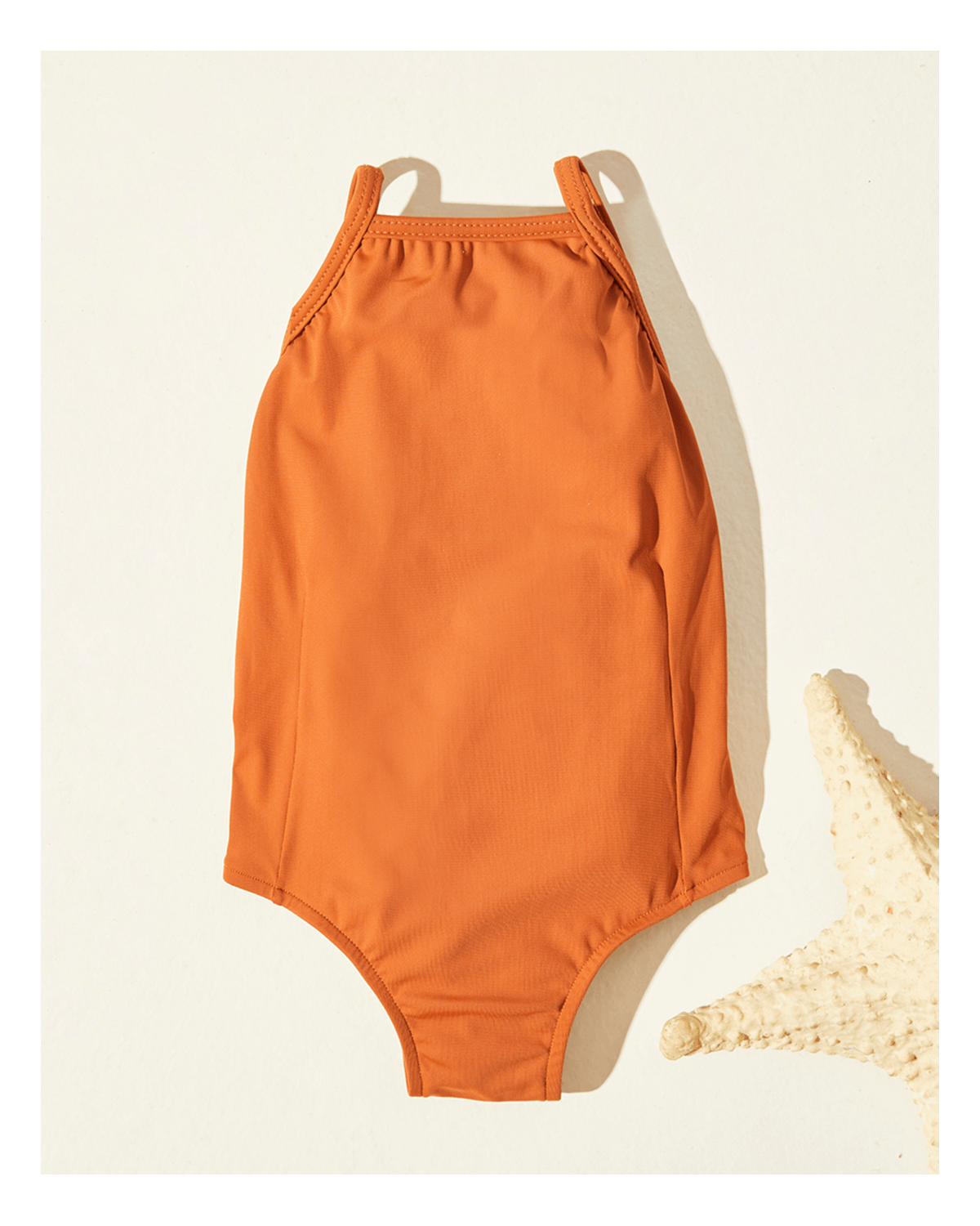 image_095dd47c-f2e2-4ff2-b1e0-415be04299e8