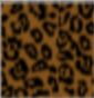 ONCA BLUR 