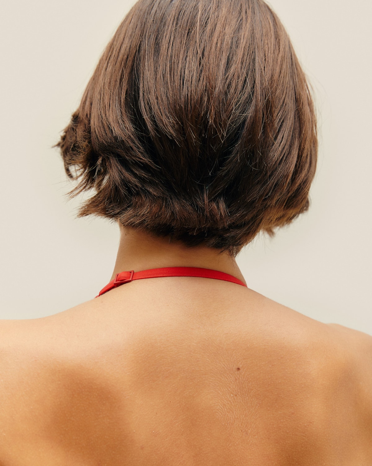 image_4c314ac4-9d33-40fe-b29a-6a0cad268c0c