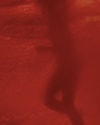 image_e38e5ece-0dd5-404e-ad45-8a8e0ca83441