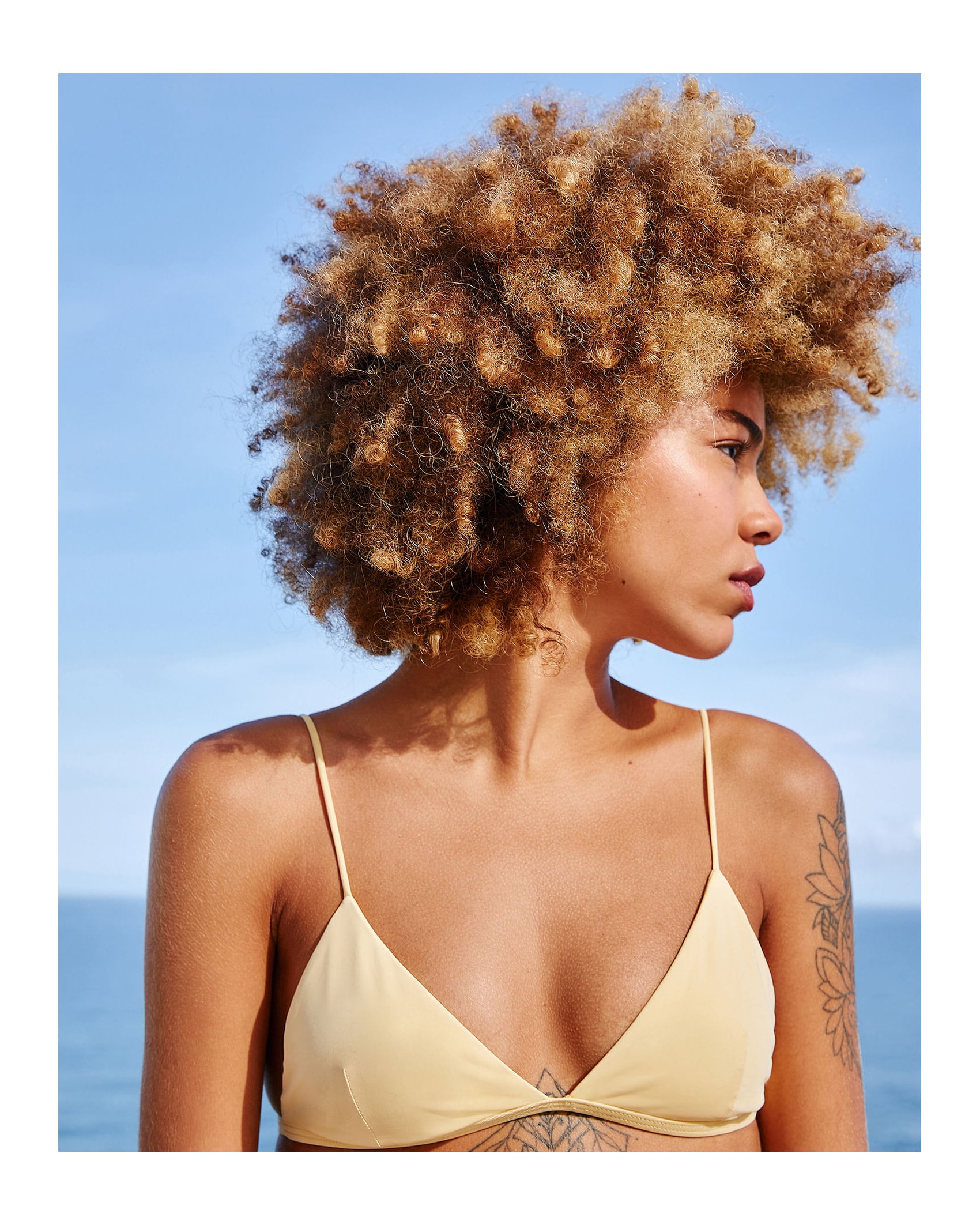 image_6d84308c-e5cc-41b4-92bd-ca7e9dada960