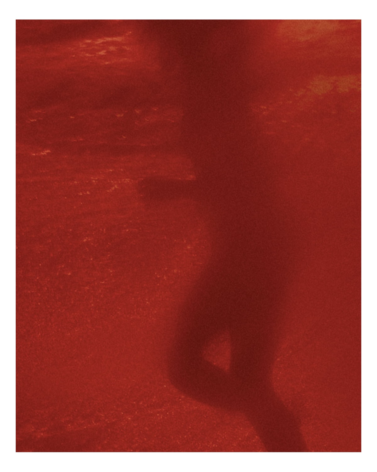 image_e2c97047-ae25-4c0d-810a-c06b9dadec30