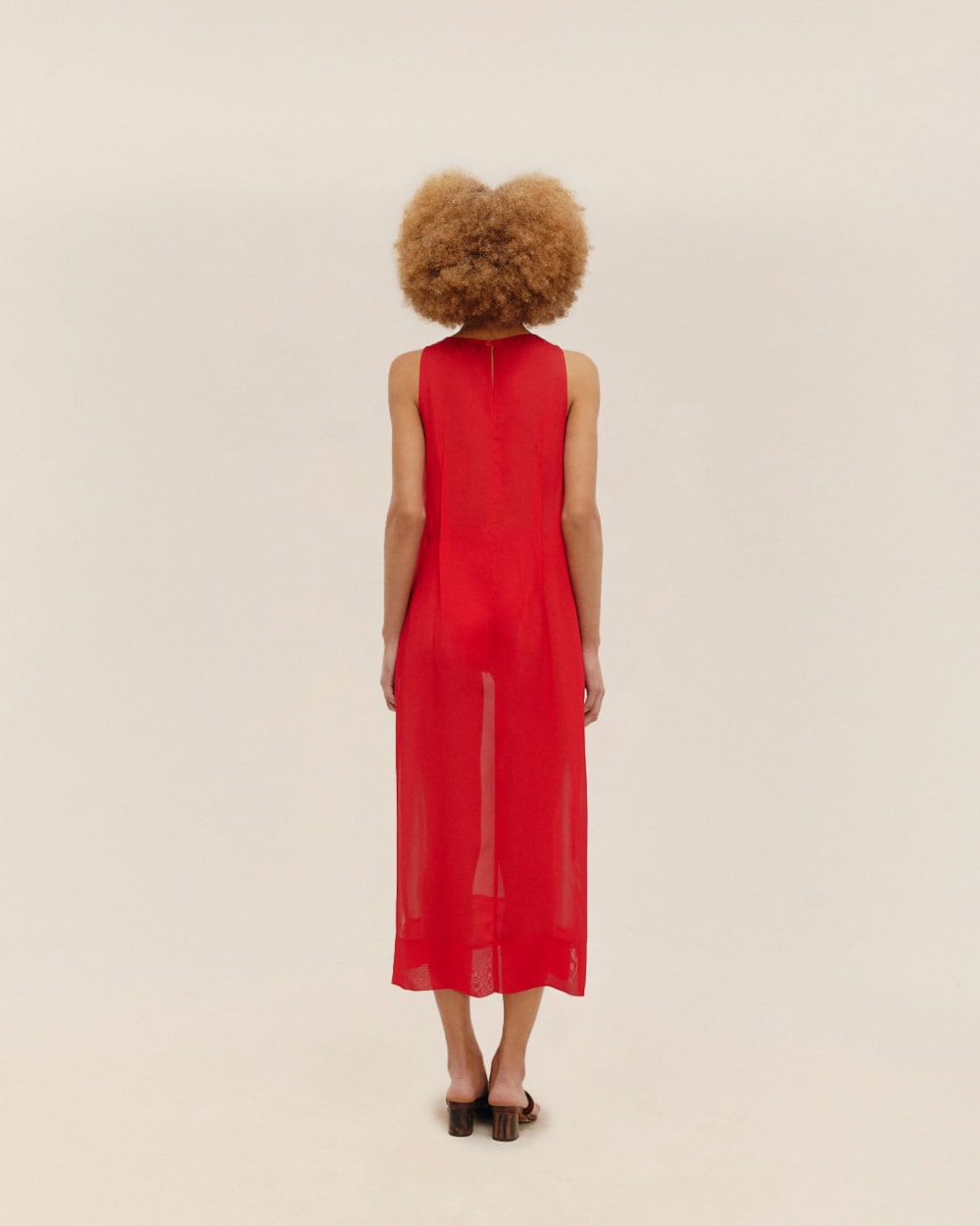 image_dbc4e261-3bf6-48b4-af19-9f1f601b6ef5