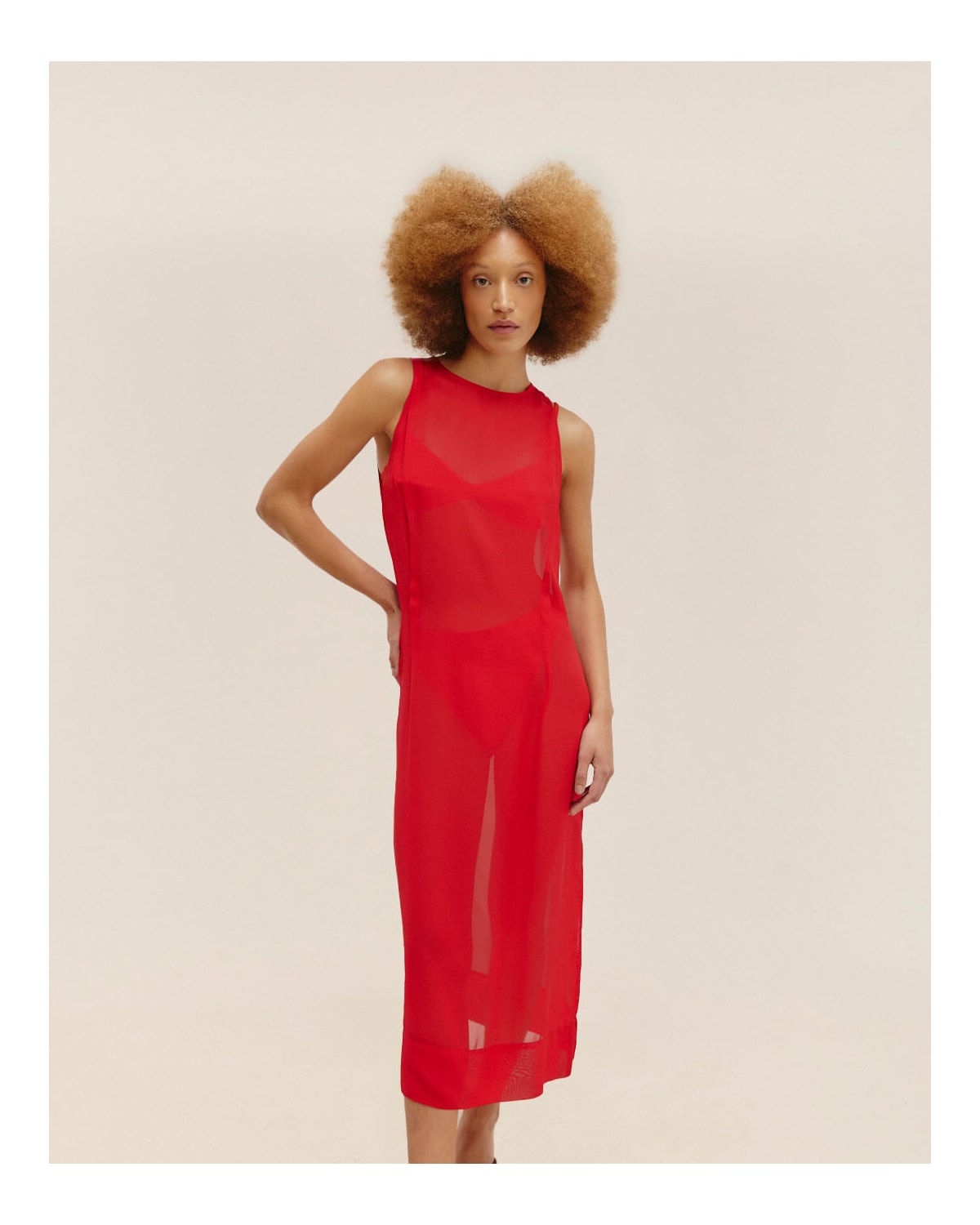 image_8a65a31e-90e9-4036-9c87-70302f64b749